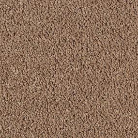 Cut Pile Cayman Island Beige/Tan Carpet