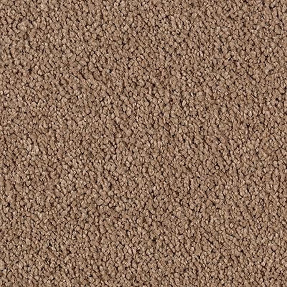 Cut Pile Cayman Island Beige/Tan Carpet