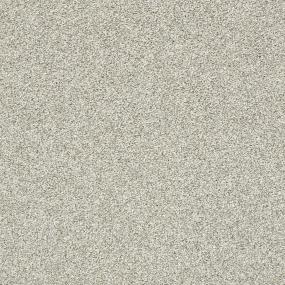 Textured Saxony Plaster Beige/Tan Carpet