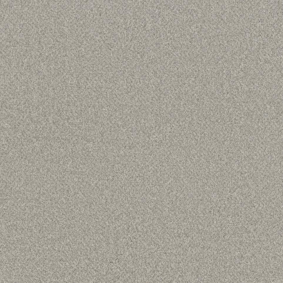 Texture Classical Gray Carpet