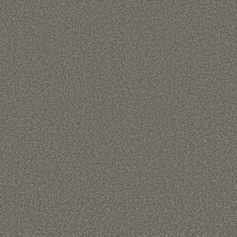 Textured Saxony Silvermine Beige/Tan Carpet