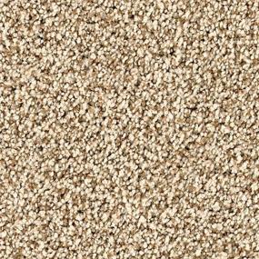 Textured Saxony Majestic Brown Carpet