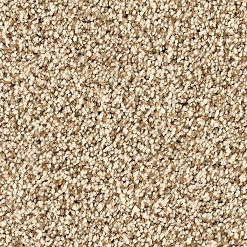 Textured Saxony Majestic Brown Carpet