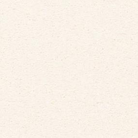 Textured Saxony Allure Beige/Tan Carpet