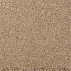 Textured Saxony Rumcake Beige/Tan Carpet