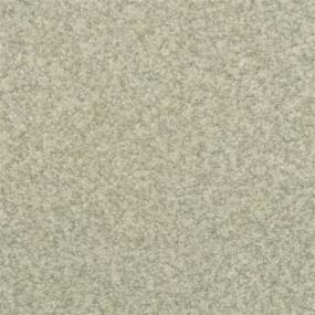 Casual Texture Balsam Green Carpet