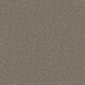 Textured Saxony Earth Trail Brown Carpet