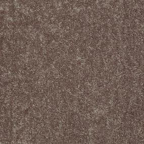 Textured Saxony Hickory Brown Carpet