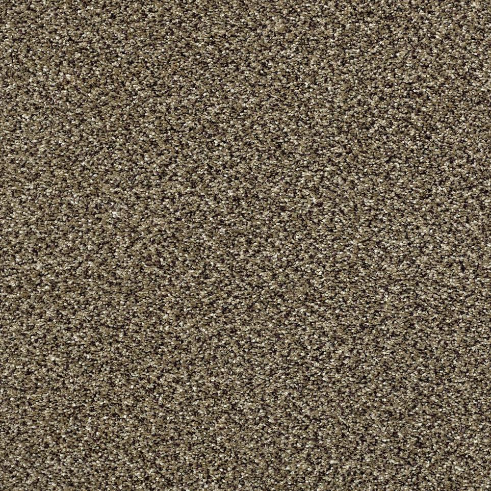 Texture Sandalwood Brown Carpet