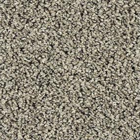 Cut Pile Tradewind Gray Carpet