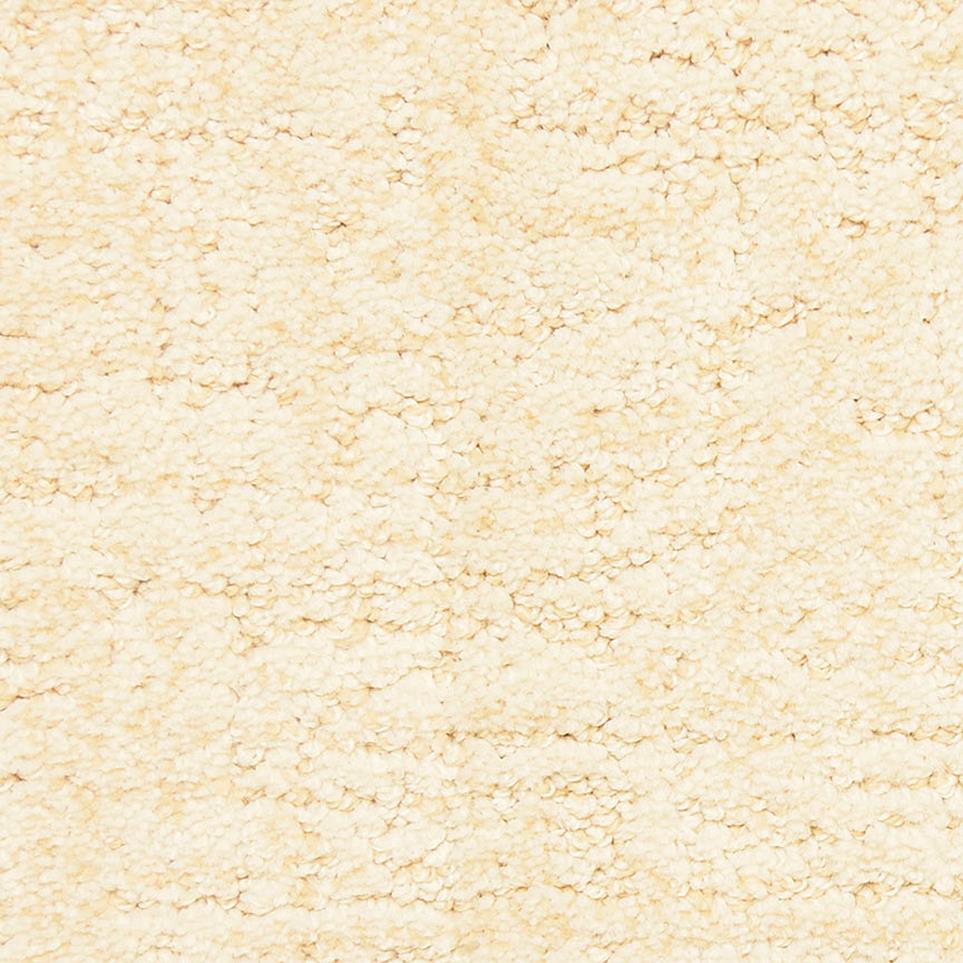 Pattern Dewdrop Beige/Tan Carpet