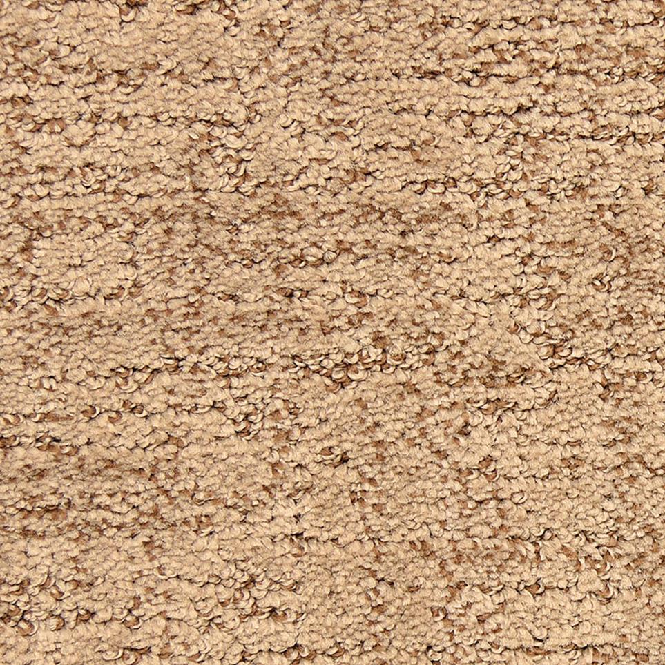 Pattern Durango Beige/Tan Carpet