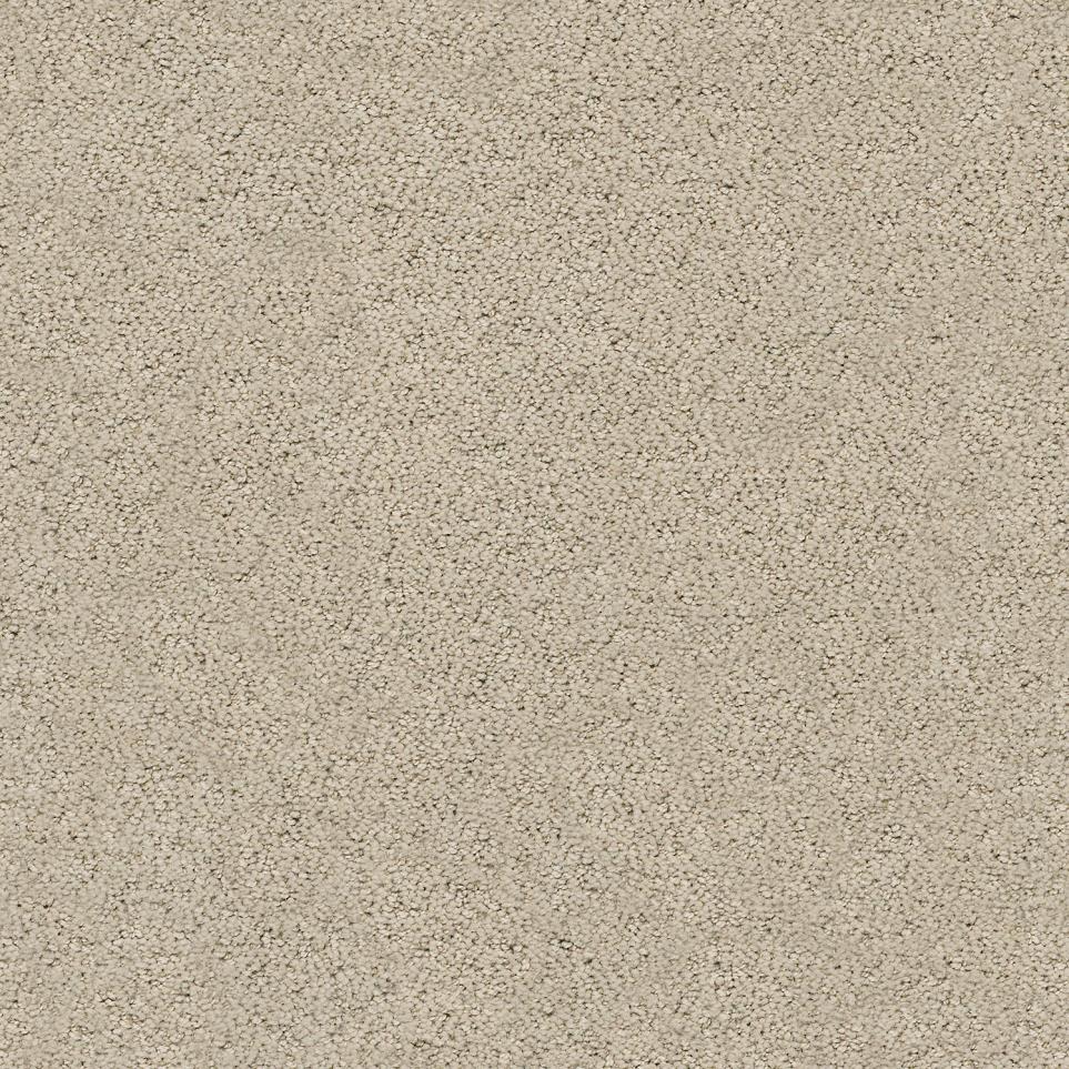 Pattern Twine Beige/Tan Carpet