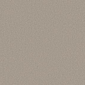 Textured Saxony Basketry Beige/Tan Carpet