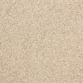 Textured Saxony Mocha Beige/Tan Carpet
