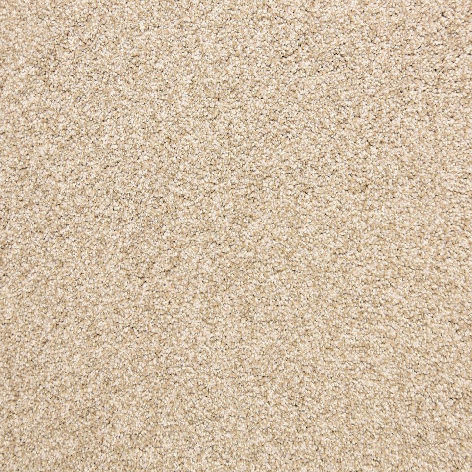 Textured Saxony Mocha Beige/Tan Carpet