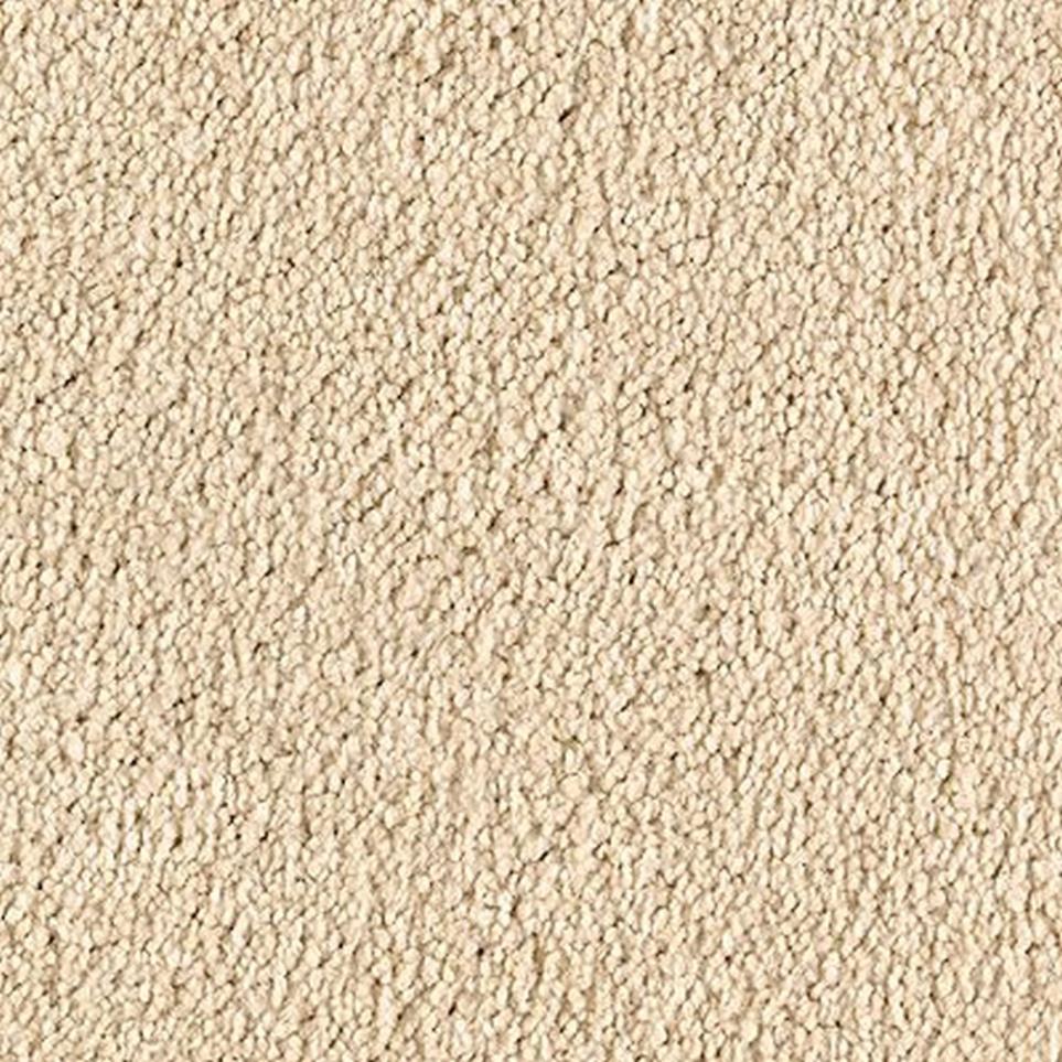 Textured Saxony Fleece Beige/Tan Carpet