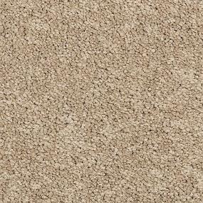 Textured Saxony Haven Brown Carpet