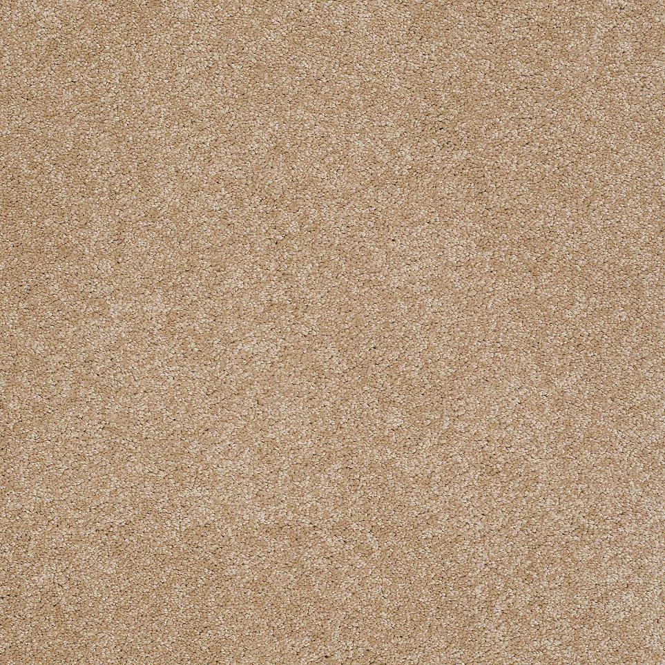 Texture Cashew  Carpet