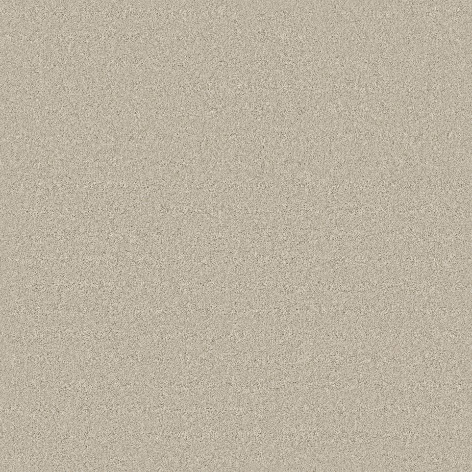 Texture Chateau Beige/Tan Carpet