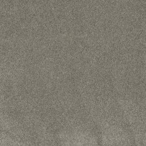 Textured Saxony DIRECTOR Brown Carpet