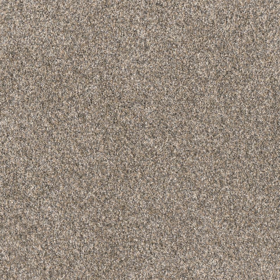 Textured Saxony DIRECTOR Brown Carpet