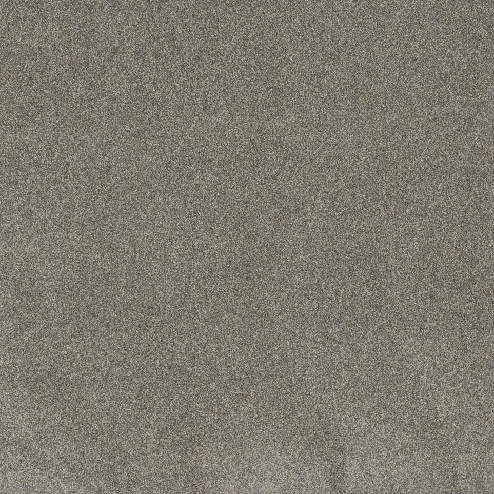 Textured Saxony DIRECTOR Brown Carpet