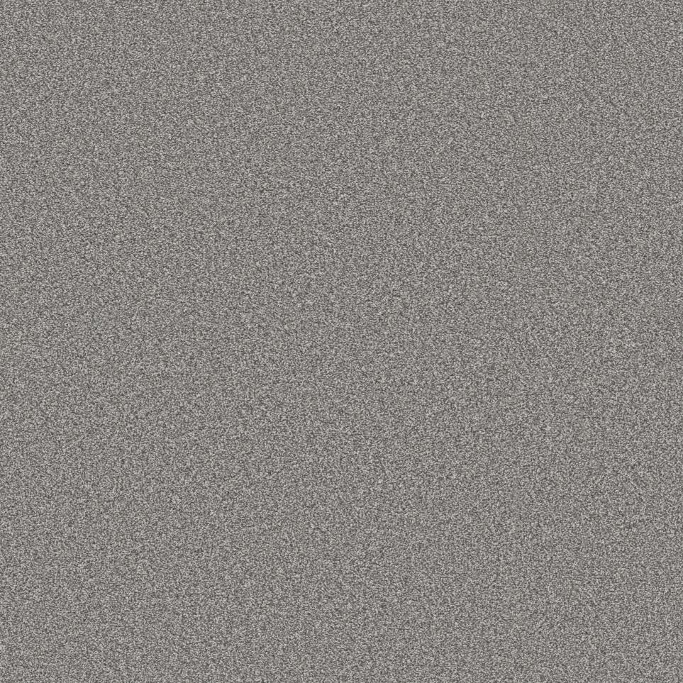 Texture Arbor Gray Carpet