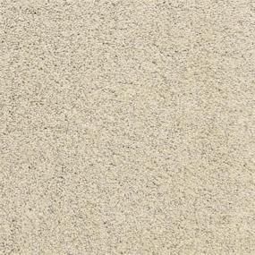 Textured Saxony Sea Wall Beige/Tan Carpet