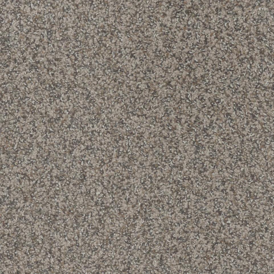 Texture Bedford Beige/Tan Carpet