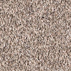 Textured Saxony Seashell Brown Carpet
