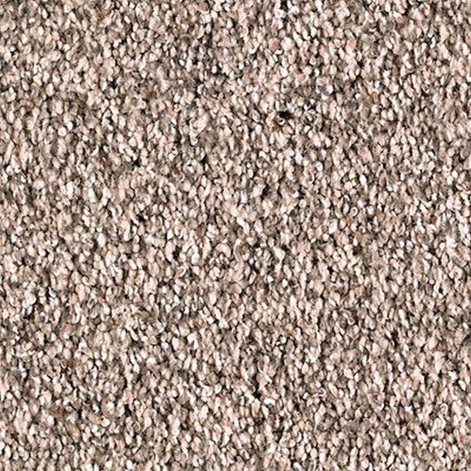 Textured Saxony Seashell Brown Carpet