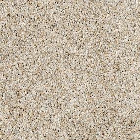 Texture Mineral Beige/Tan Carpet