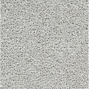 Textured Saxony Alliance Gray Carpet