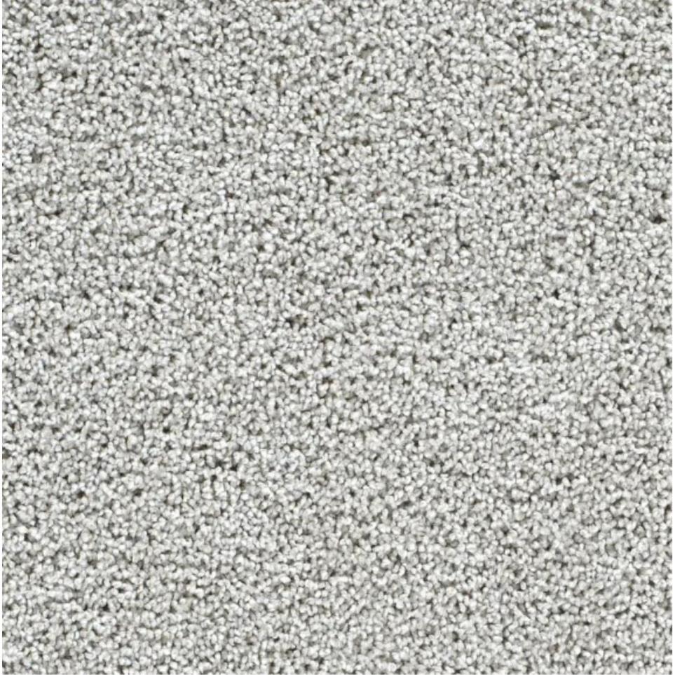 Textured Saxony Alliance Gray Carpet