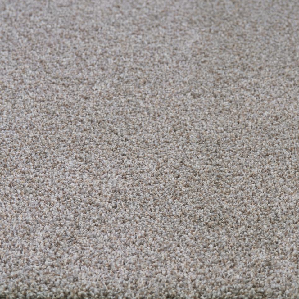 Texture Traditional Beige/Tan Carpet