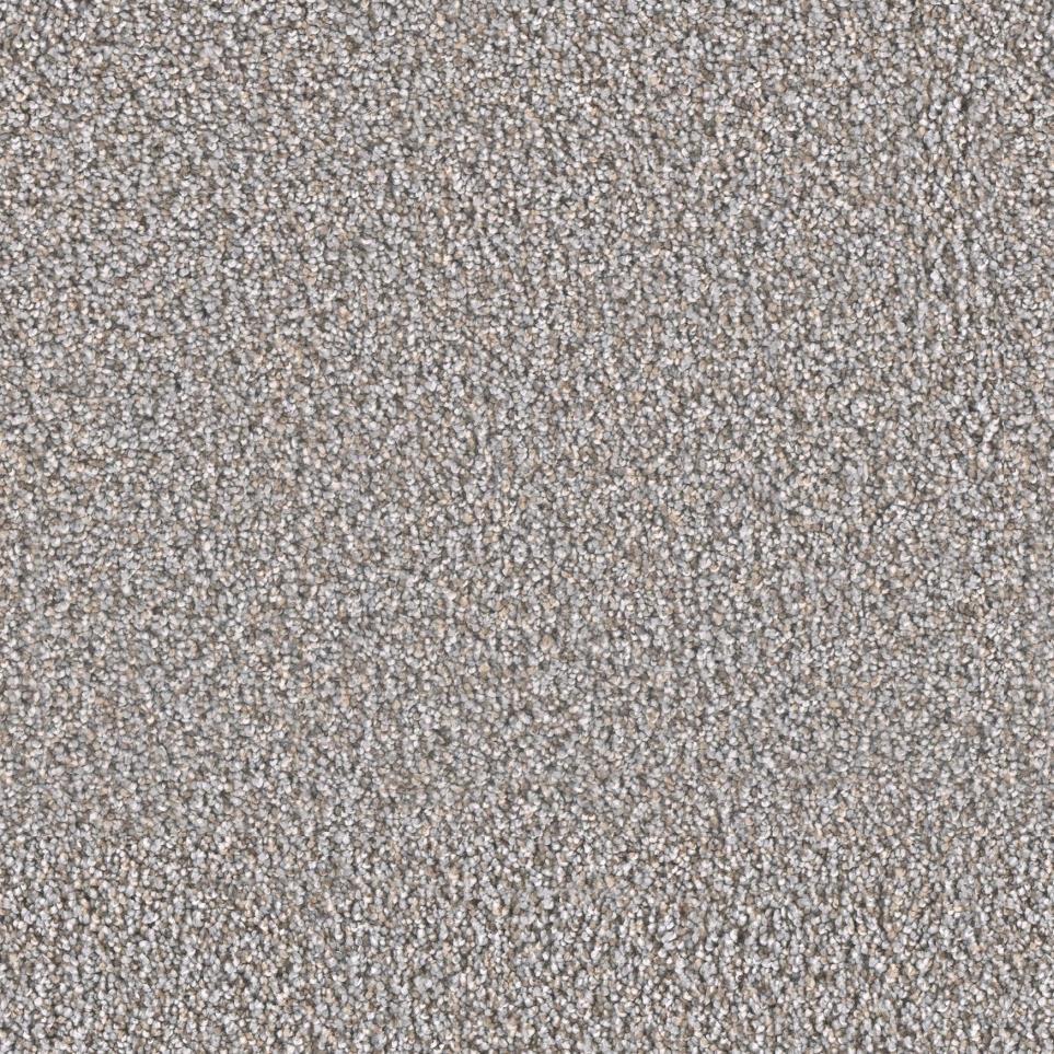 Texture Traditional Beige/Tan Carpet