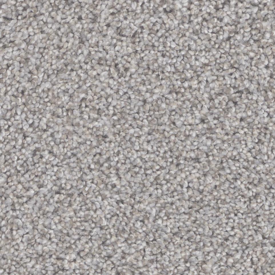 Texture Traditional Beige/Tan Carpet