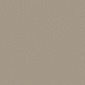Texture Stucco Beige/Tan Carpet