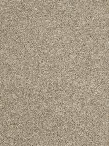 Textured Saxony Detailed Finish Gray Carpet