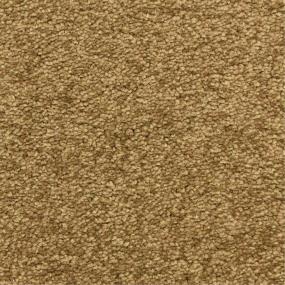 Casual Texture Woofruff Brown Carpet