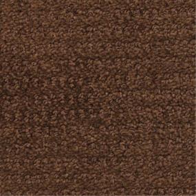 Pattern Swiss Mocha Brown Carpet