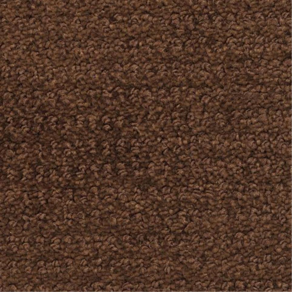 Pattern Swiss Mocha Brown Carpet
