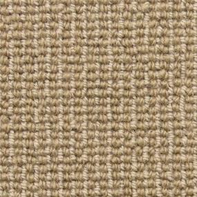 Loop Open Weave Beige/Tan Carpet