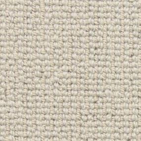 Loop Tapestry Beige/Tan Carpet