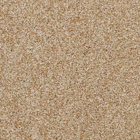 Texture Ranunculus Brown Carpet