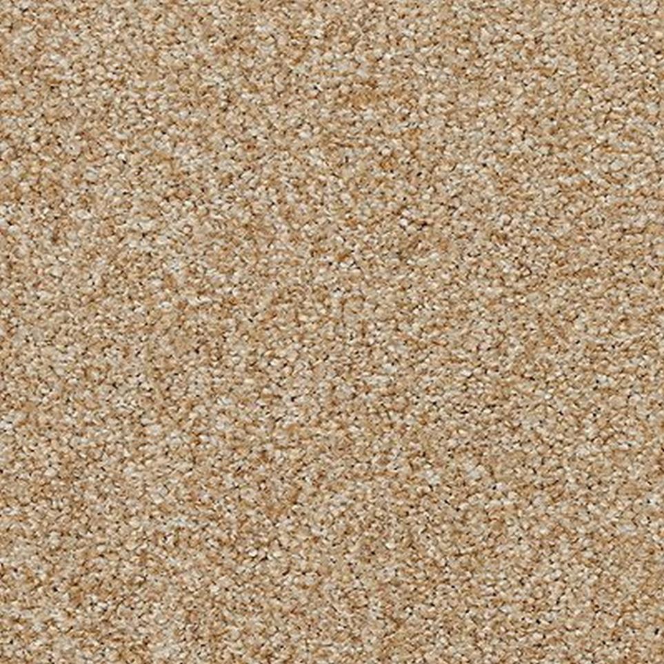 Texture Ranunculus Brown Carpet