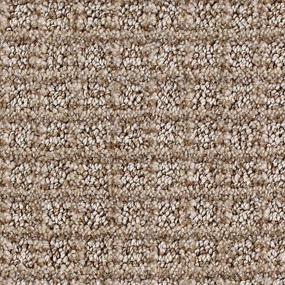Pattern Victorian Brown Carpet