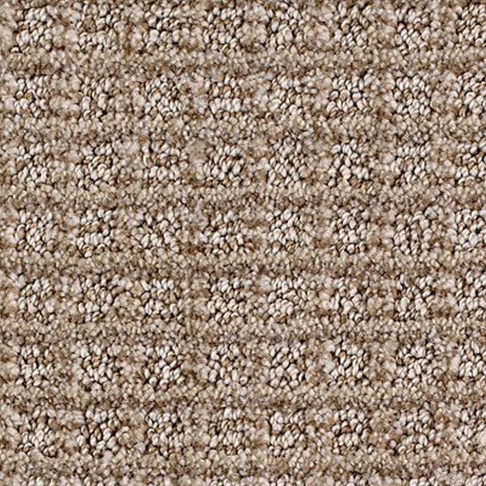 Pattern Victorian Brown Carpet