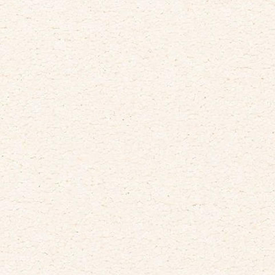 Textured Saxony Allure Beige/Tan Carpet